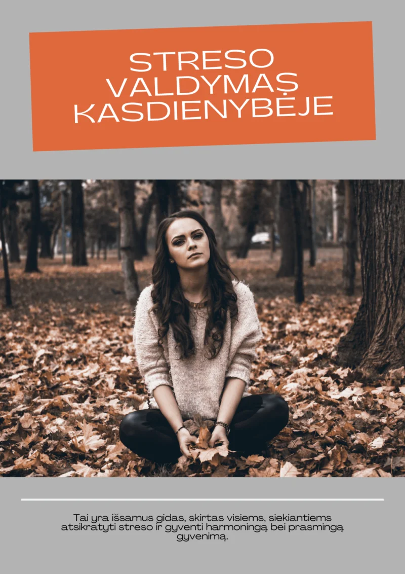 Protinis ramybės kelias - streso valdymas kasdienybėje